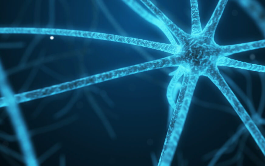 How to Understand the Nervous System