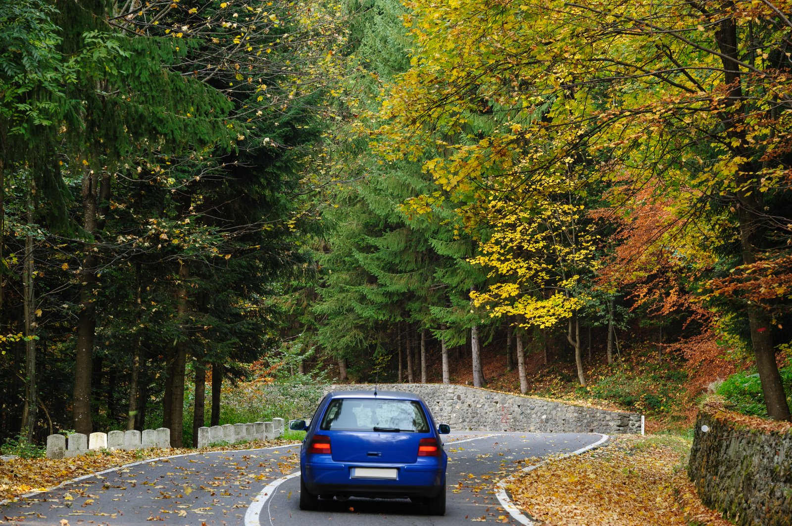 How to Select the Best Car for Indian Roads