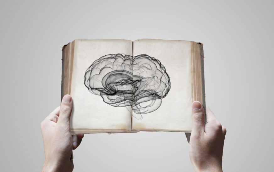 How to Learn About the Brain and Memory