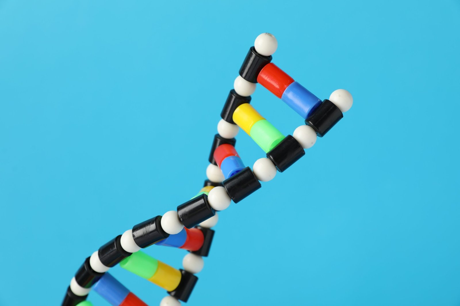 How to Explain DNA in Simple Words