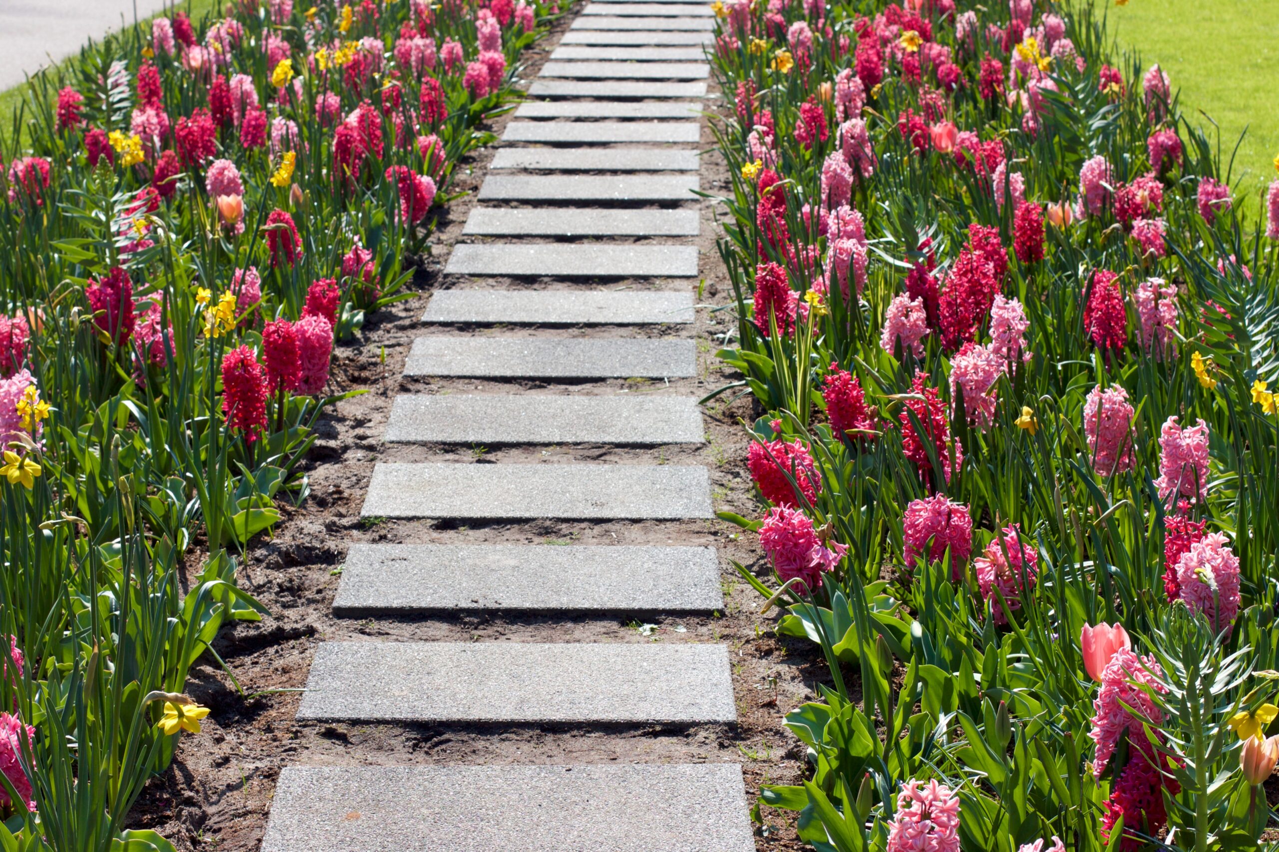 How to Build Simple Garden Pathways