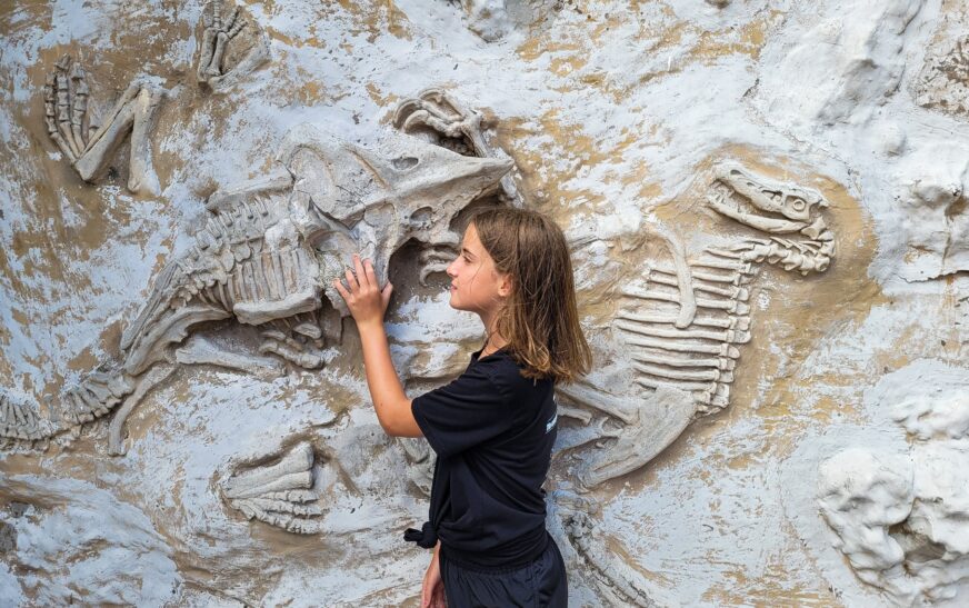 How to Learn About the Science of Fossils