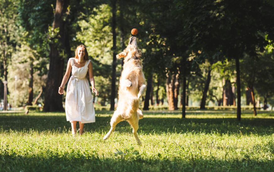 How to Keep Animals Active and Fit
