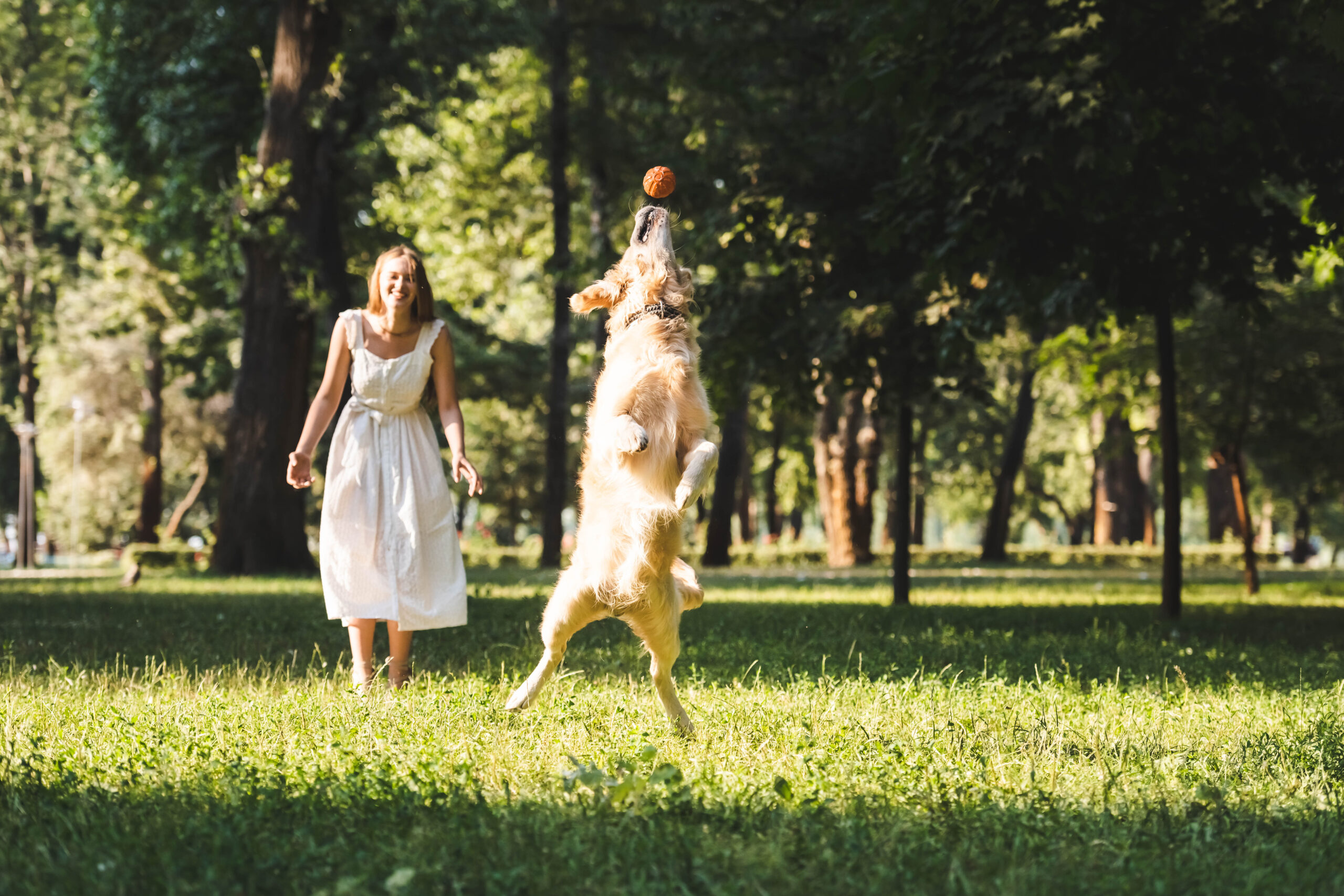 How to Keep Animals Active and Fit