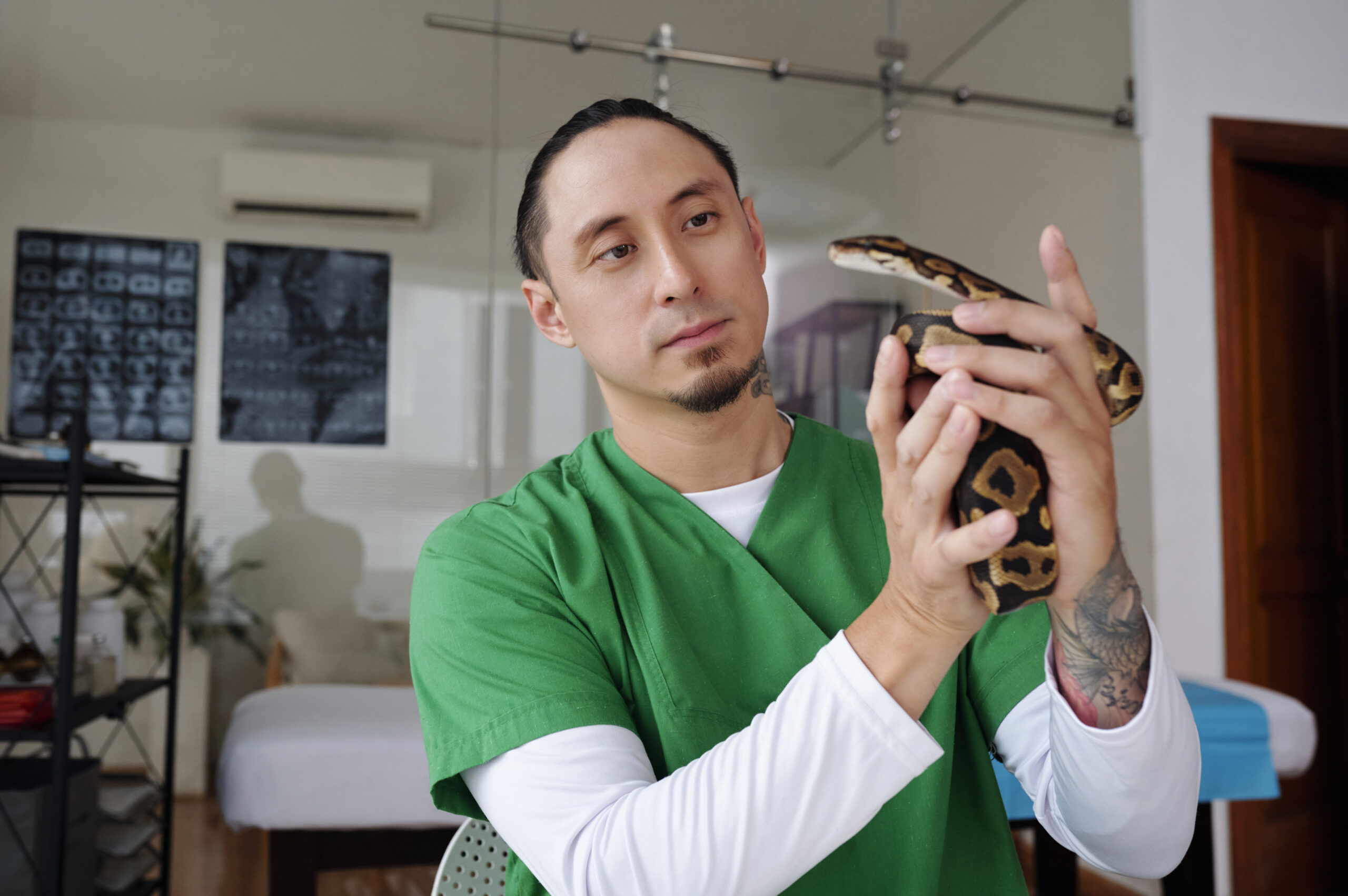How to Care for Exotic Pets at Home