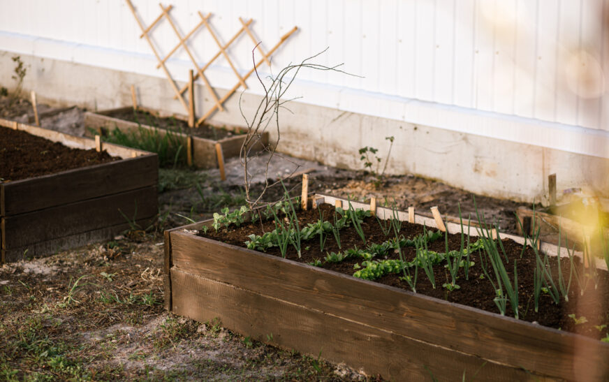 How to Build a Simple Backyard Garden