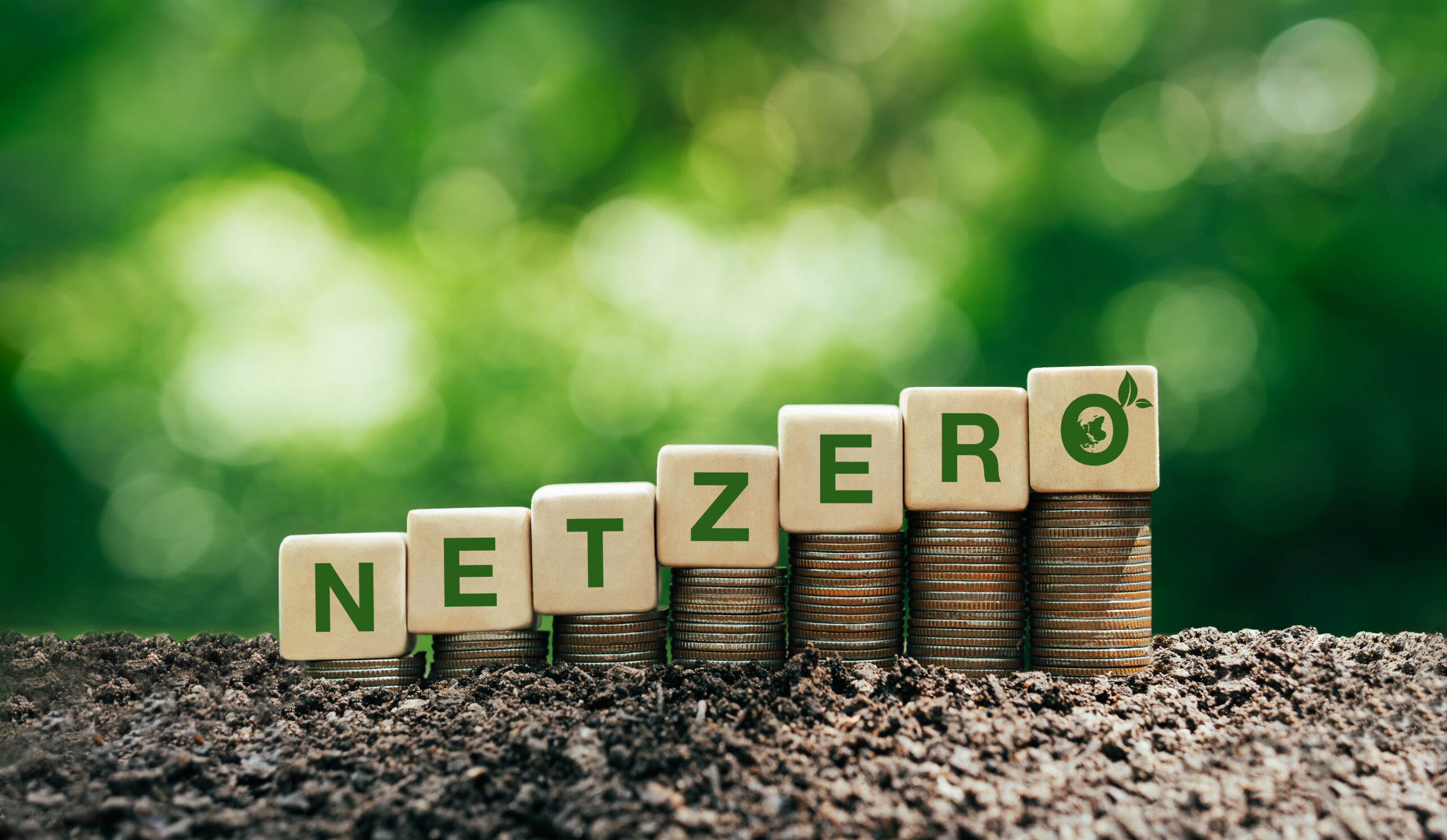 How to Build Wealth from Zero