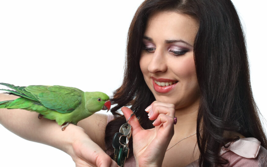How to Train Your Parrot to Talk