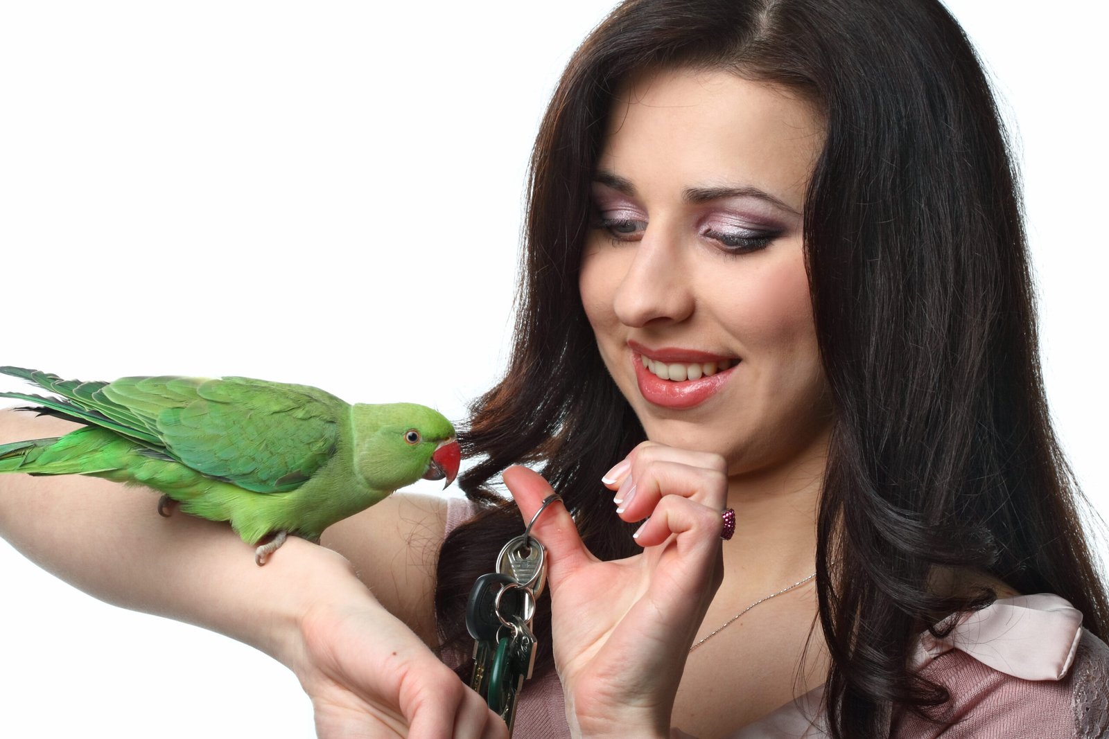 How to Train Your Parrot to Talk