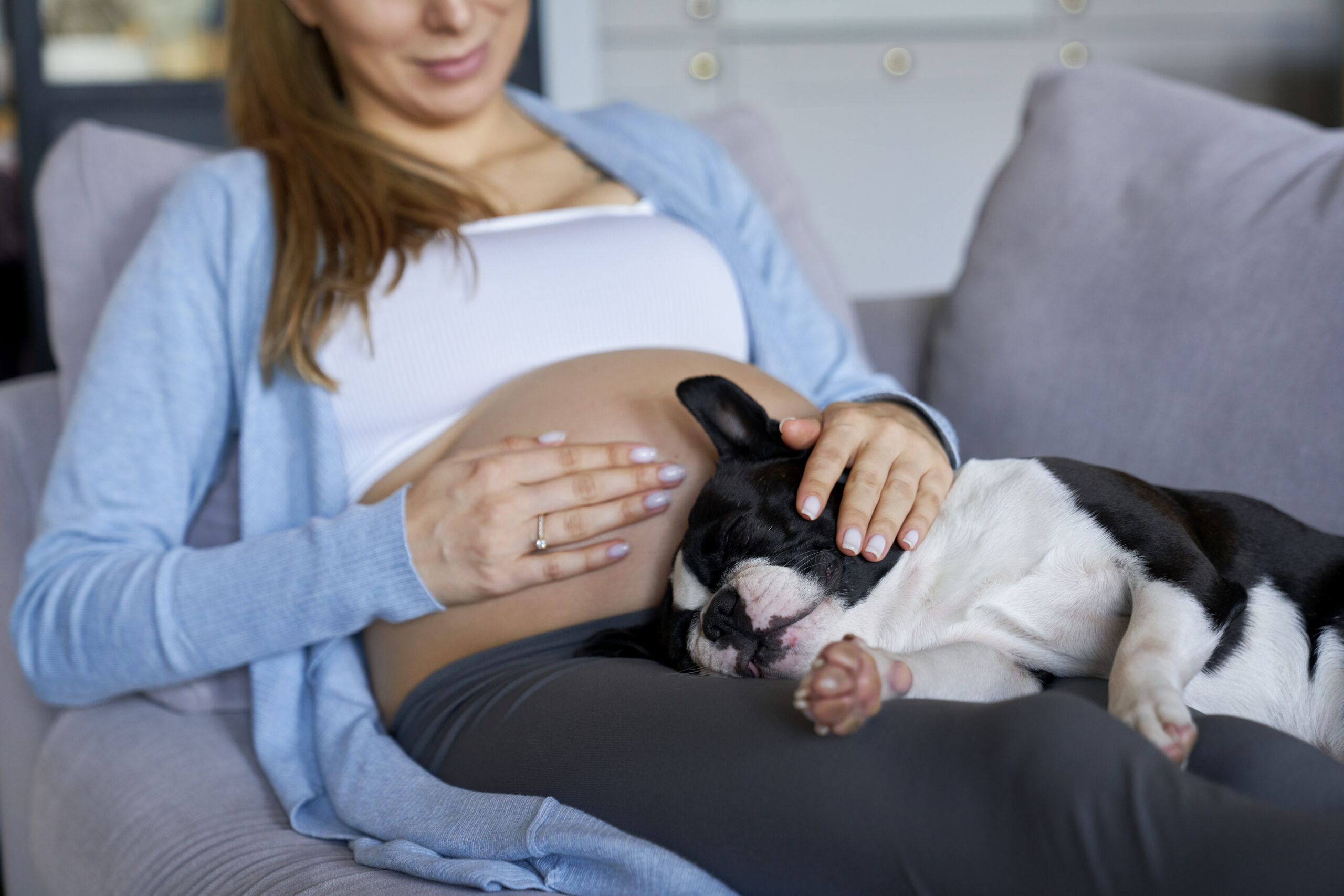 How to Help a Pregnant Pet Safely