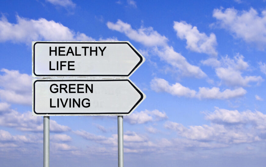 How to Create a Healthy Living Environment