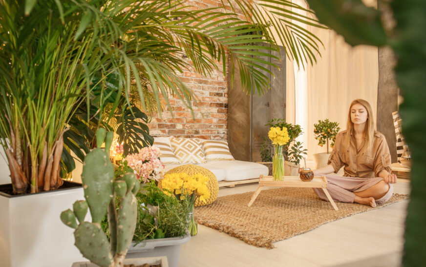 How to Design a Peaceful Daily Lifestyle