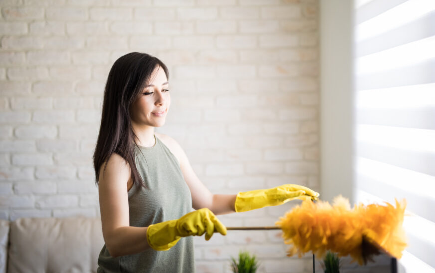 How to Keep Your Home Dust-Free