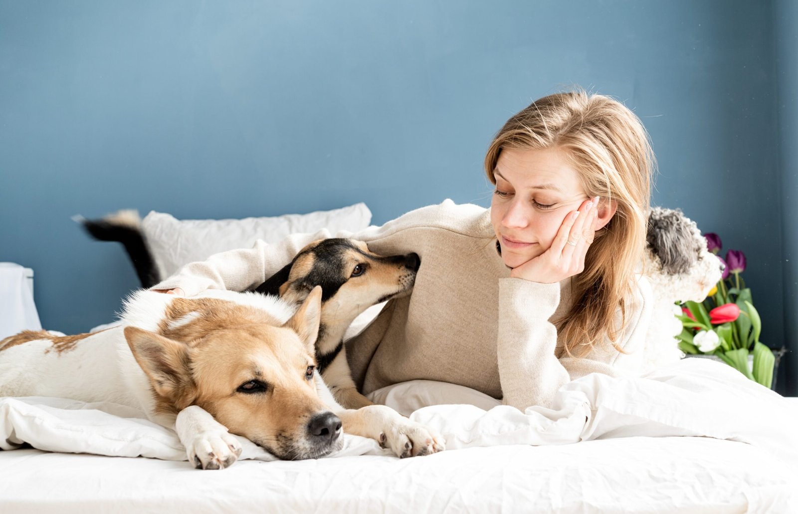 How to Reduce Stress in Pets