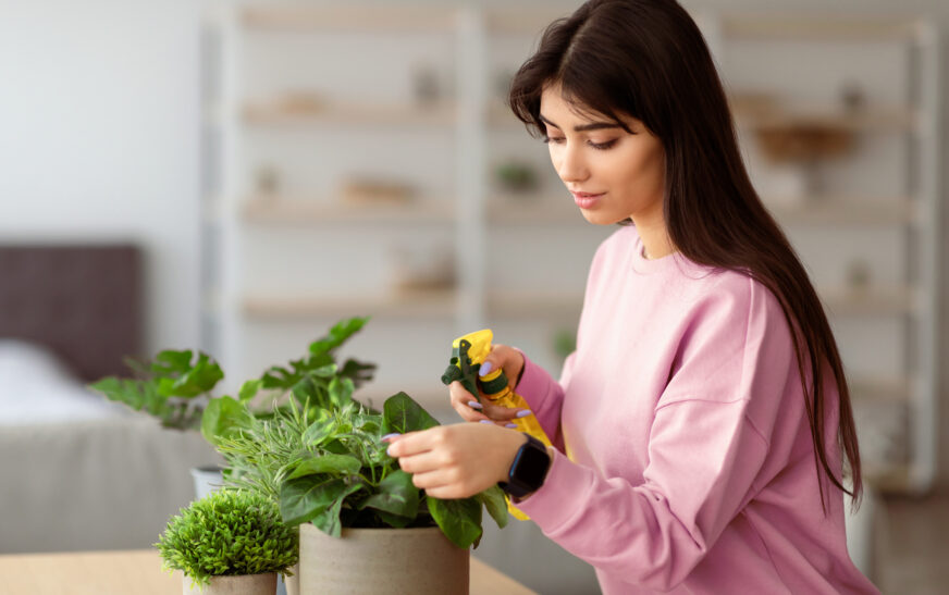 How to Grow Indoor Plants Without Sunlight