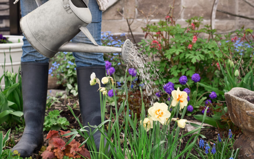 How to Save Water in Your Garden