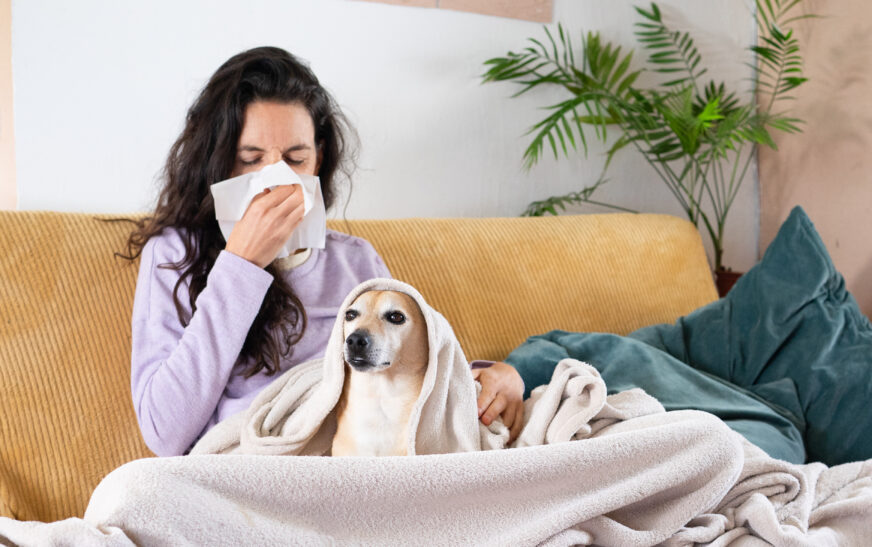 How to Spot Early Signs of Pet Illness