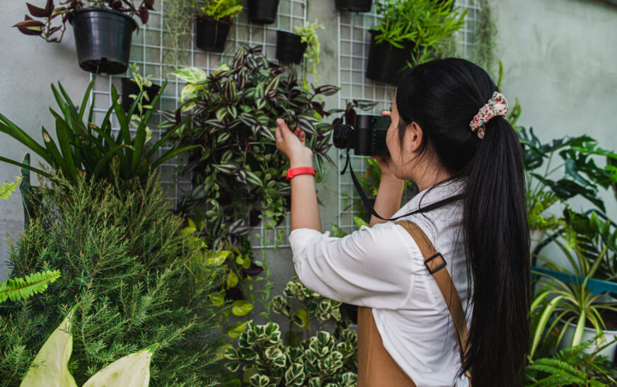 How to Build a Vertical Garden at Home